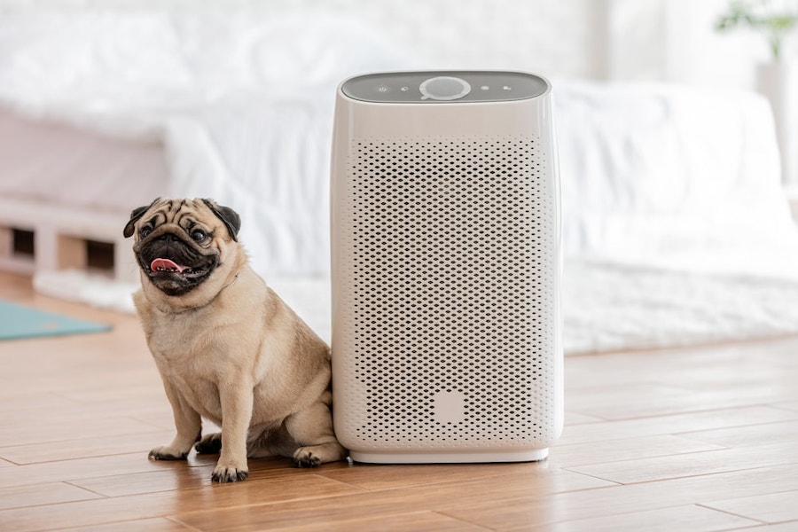 best air purifiers for pets